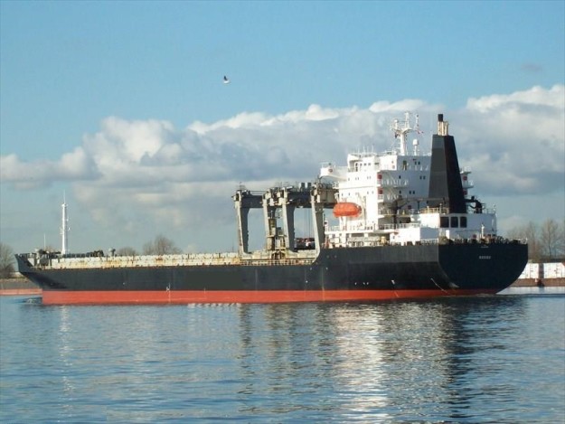 Savannah Pearl 1